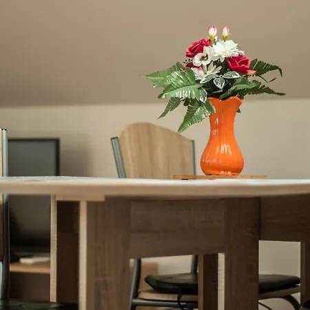 Apartment Basic *