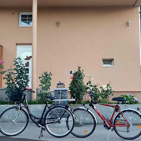 Basic Apartment